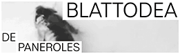 Fundació Joan Brossa - Blattorea de Paneroles